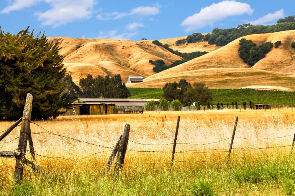 Scene looking out across northern california countryside