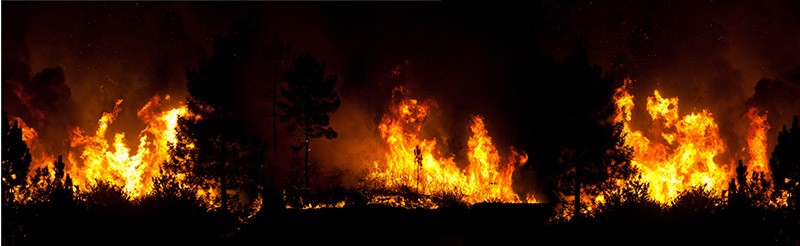 wildfire burning trees and grassland at night