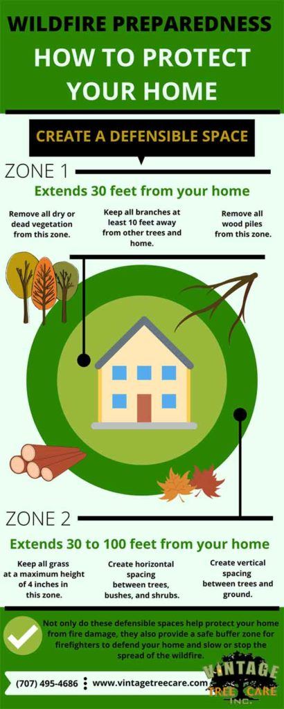 informational graphic how to protect your home from wildfires