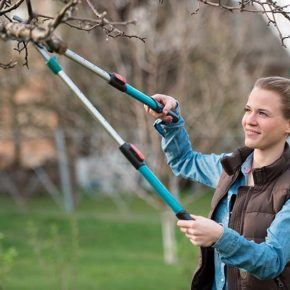 women pruning her trees in springtime for wildfire safety