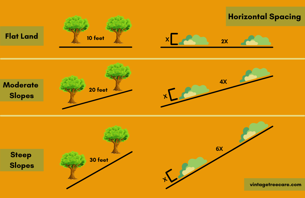 Infrograph on How To Create Horizontal Spacing on Your Property