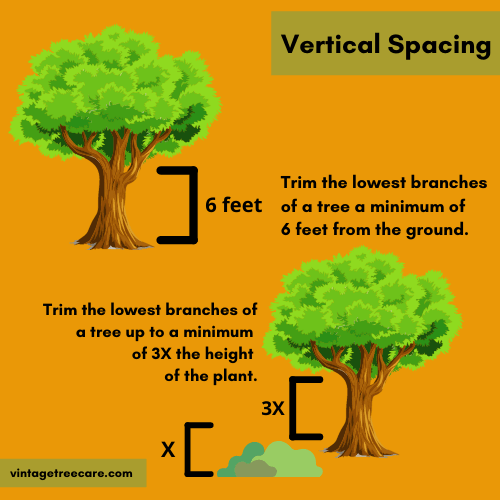 Infrograph on How To Create Vertical Spacing on Your Property
