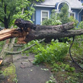 A large tree that has partially fallen onto a home