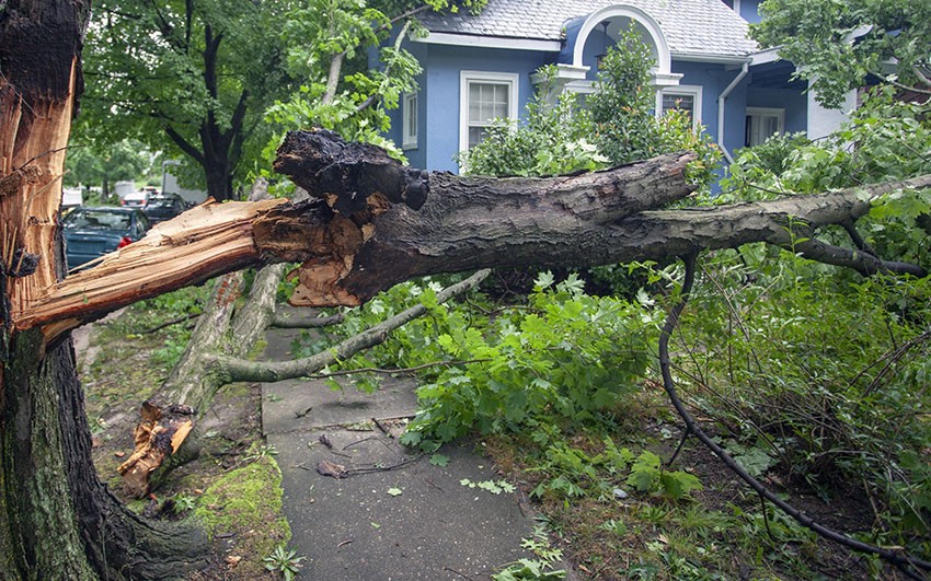 A large tree that has partially fallen onto a home