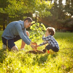 Parent and child planting a tree in their yard