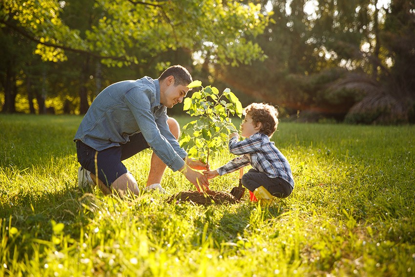 Parent and child planting a tree in their yard