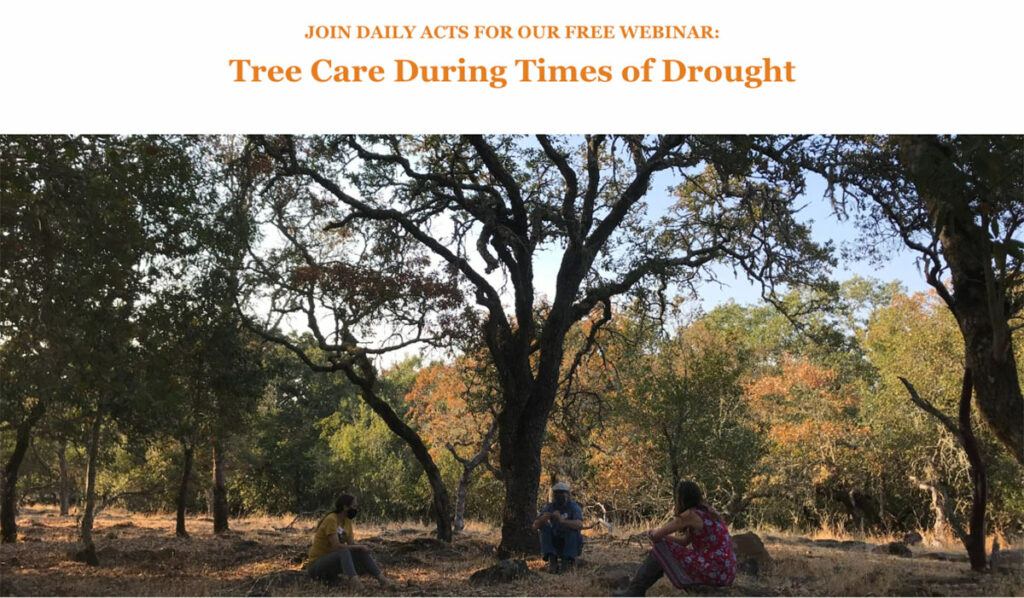"Join Daily Acts for Our Free Webinar: Tree Care During Times of Drought" above 3 people sitting in oak grove