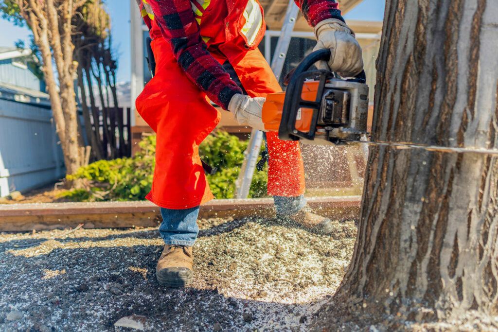 arborist cutting into a stump from tree removal