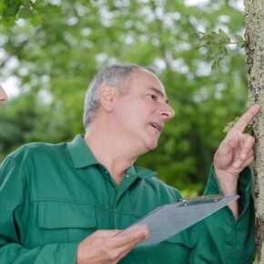 man with clipboard putting finger on bark of tree while looking at it as younger man looks on