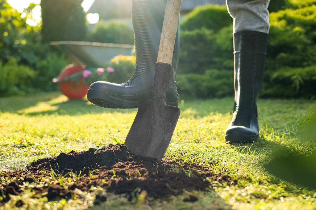 Rubber booted feet on lawn with one boot on shovel, digging hole for tree. 