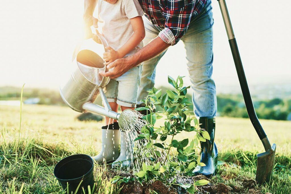 Man and child in rubber boots. Man helping child water newly planted tree with watering can. Shovel and plant container in foreground.