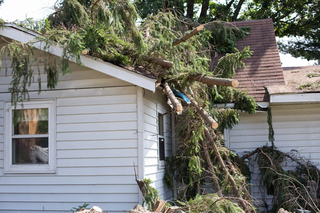 A house faces roof damage due to a fallen tree after a storm.