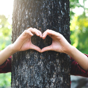 Two arms hugging a tree, making the shape of a heart in front of it, with leaves in the background