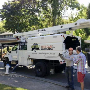 Arborist Fred Frey talking to a client in front of a white work truck, in a sunny Santa Rosa neighborhood filled with trees